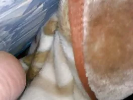 Urheilullinen blondi vixen imee ja helvetin paksu kukko lämmintä finnish porn kuormaa varten